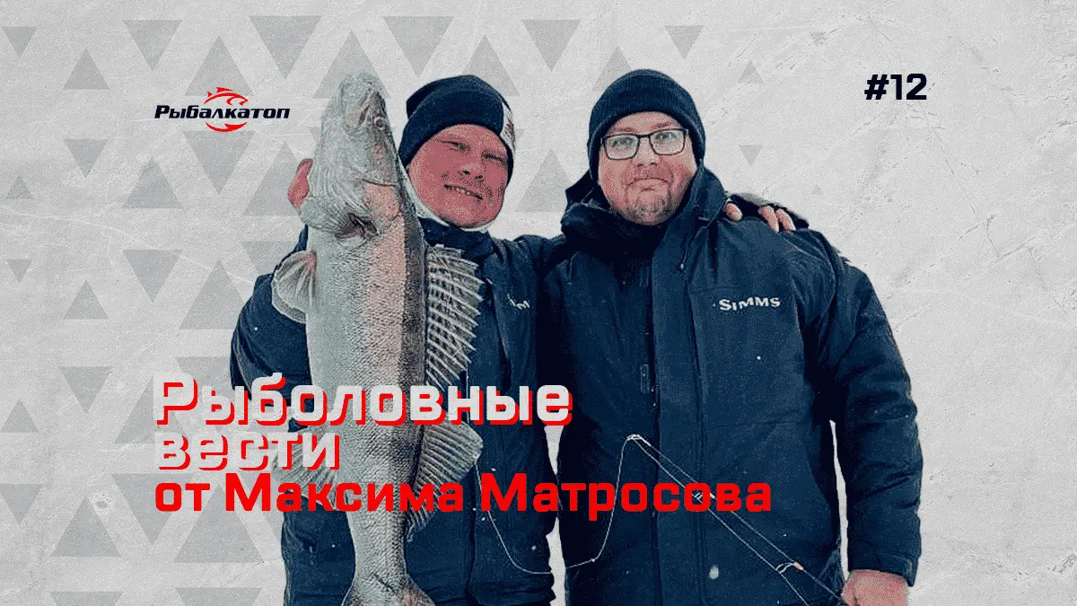 Выпуск #12. РыбалкаТОП. Рыболовные вести от Максима Матросова